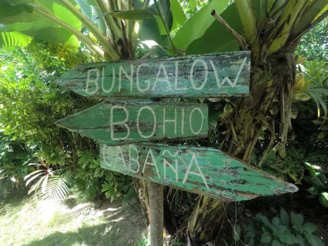 Отель Dream Glamping Jungle Bohio Лас Терренас Экстерьер фото