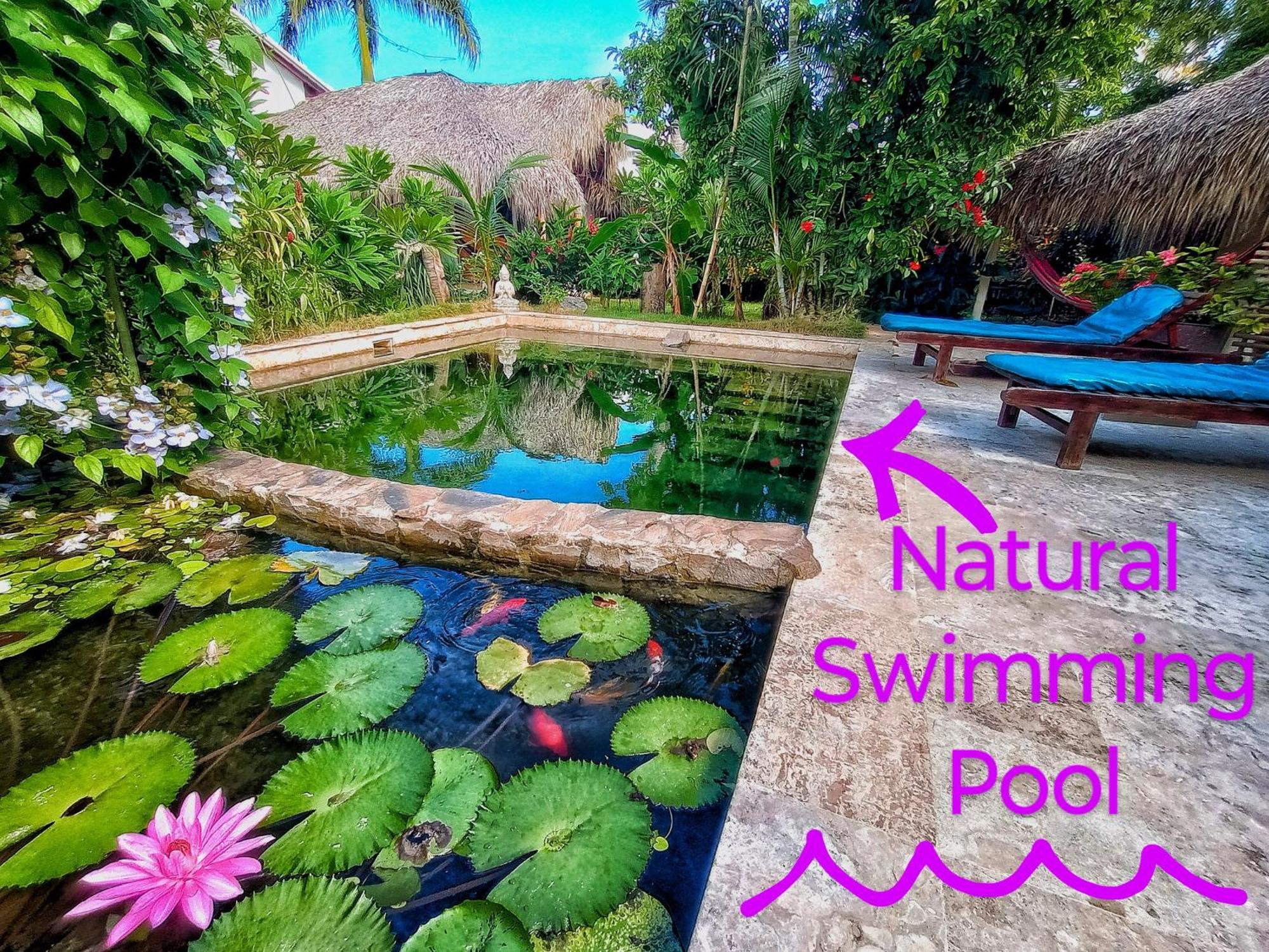 Отель Dream Glamping Jungle Bohio Лас Терренас Экстерьер фото