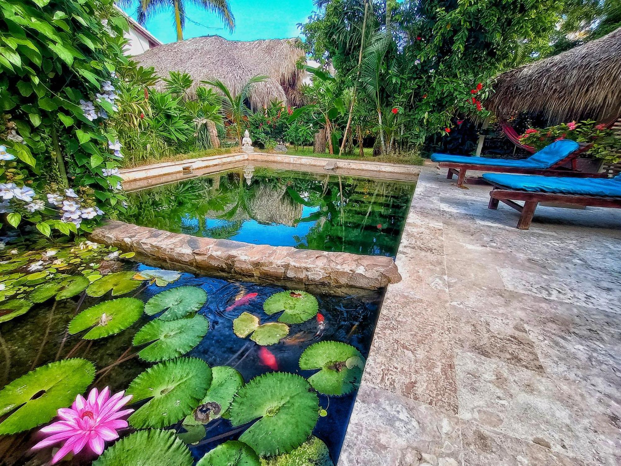 Отель Dream Glamping Jungle Bohio Лас Терренас Экстерьер фото