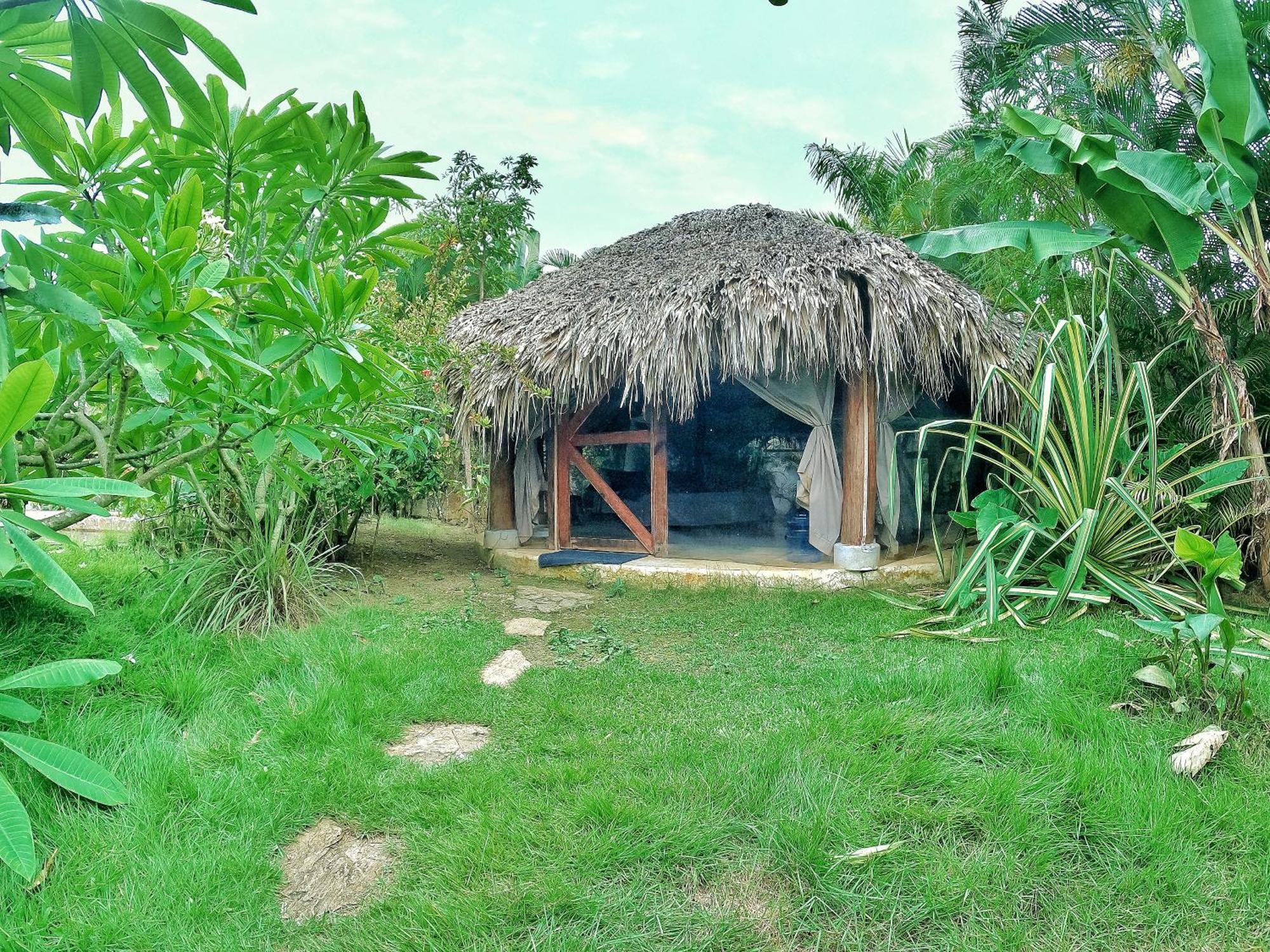 Отель Dream Glamping Jungle Bohio Лас Терренас Экстерьер фото